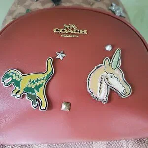 COACH CARRIE BACKPACK 23 W/SOUVENIR 7 PIN CUSTOMIZATION:NWT 1029 1-OF-A-KIND Coach | Bags | Coach Carrie Backpack 23 Wsouvenir 7 Pin  main image 4
